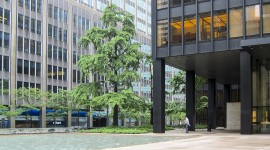 Seagram Building and Plaza, New York City