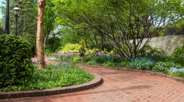 Mary Livingston Ripley Garden, Washington, DC