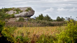 Norman Bird Sanctuary, Middletown, RI