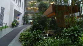 Bank of Canada Atrium