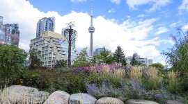 Canadian National Tower, Toronto, ON, Canada