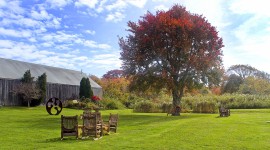 Carolyn's Sakonnet Vineyard, Little Compton, RI