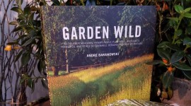 Garden Wild by Andre Baranowski