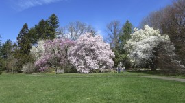 Marquand Park, Princeton, NJ
