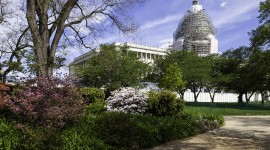 U. S. Capitol Grounds, Washington, DC