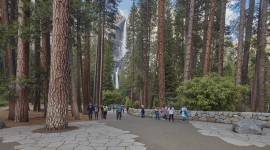 Yosemite Falls Corridor, Yosemite, CA
