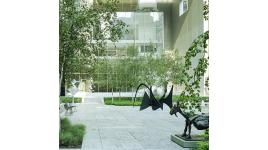 Abby Aldrich Rockefeller Sculpture Garden, New York, NY