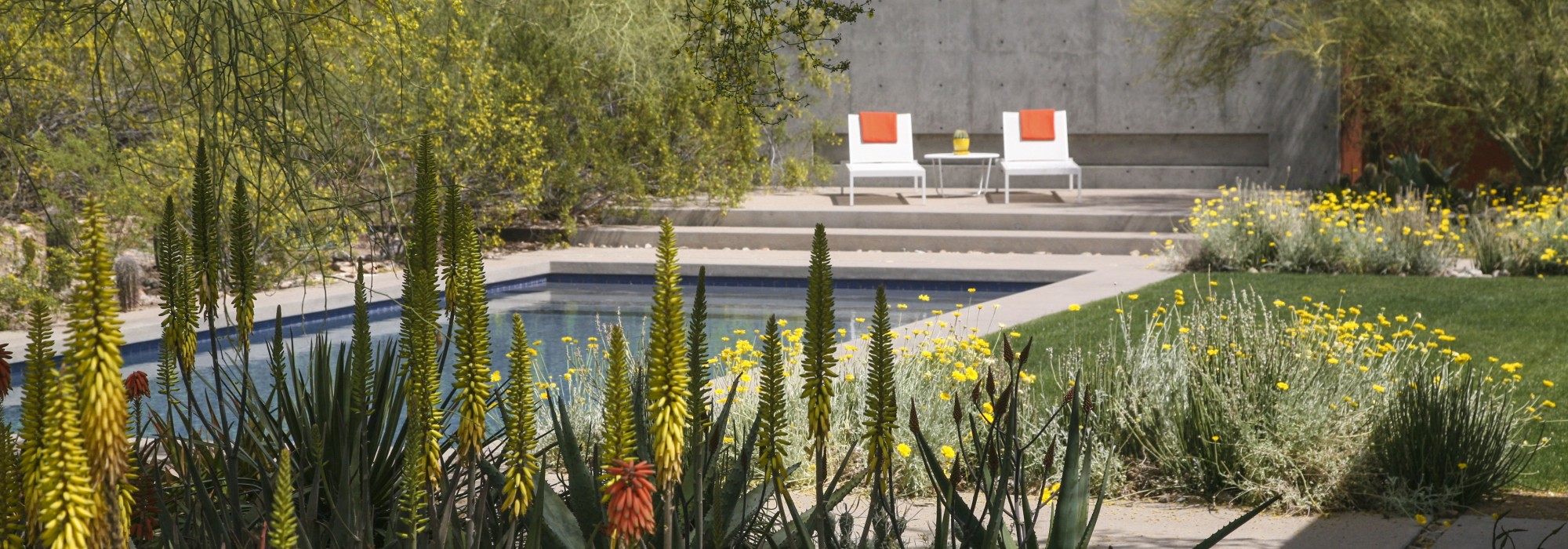 A pool with two white chairs surrounded by plants