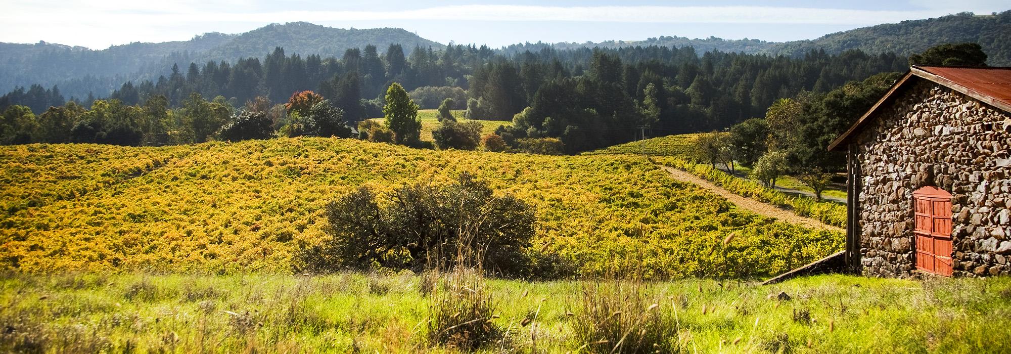 Jack London State Historic Park | TCLF