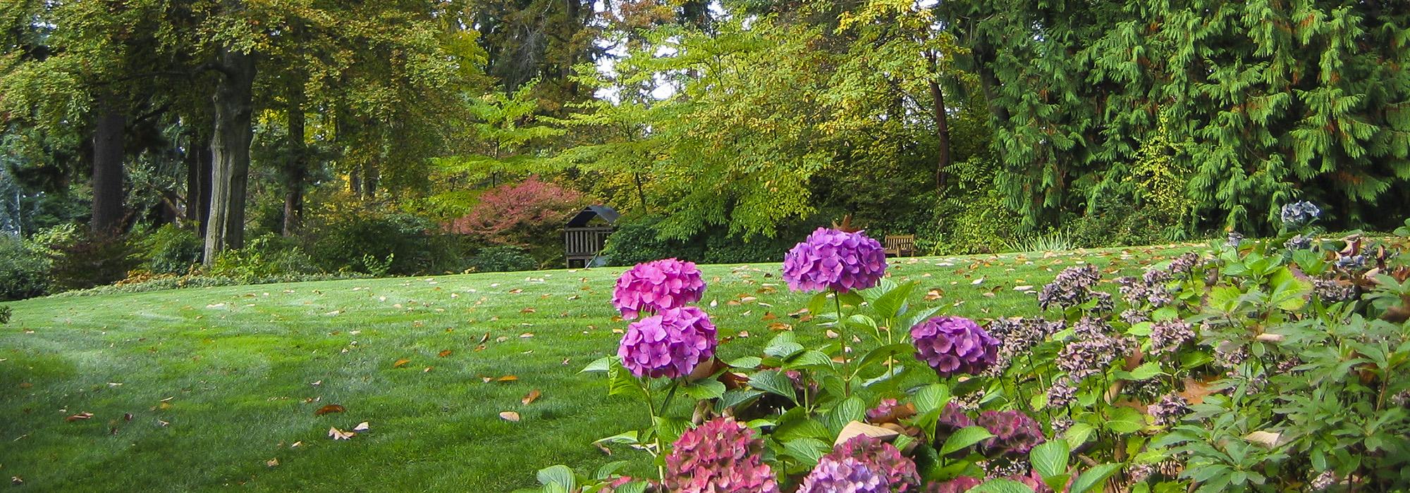 DunnGardens.jpg DunnGardens.jpg