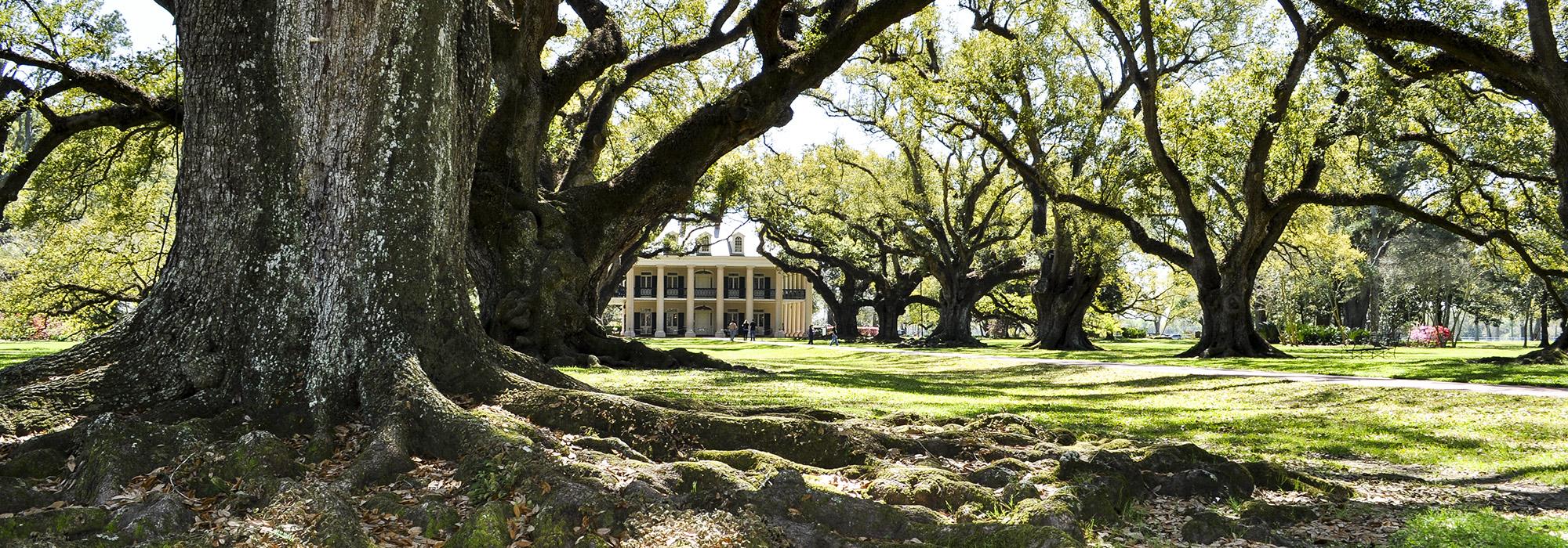 1737_hero_OakAlleyPlantation.jpg 1737_hero_OakAlleyPlantation.jpg