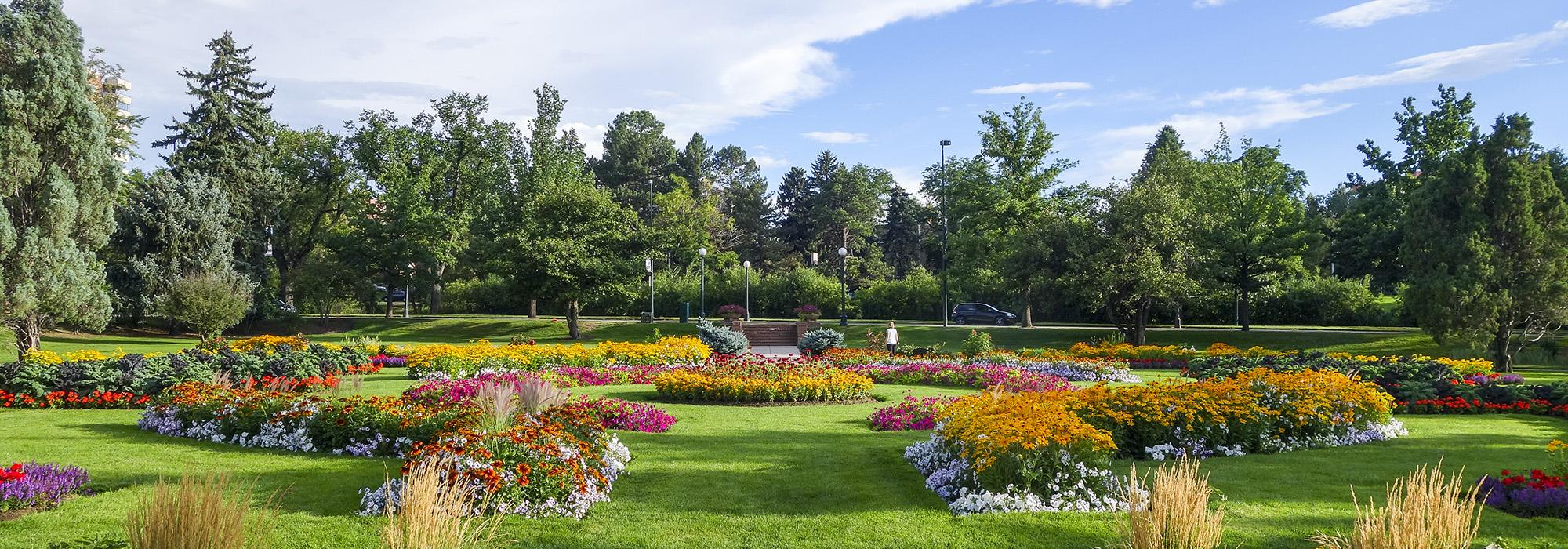 AlamoPlacitaPark.jpg AlamoPlacitaPark.jpg
