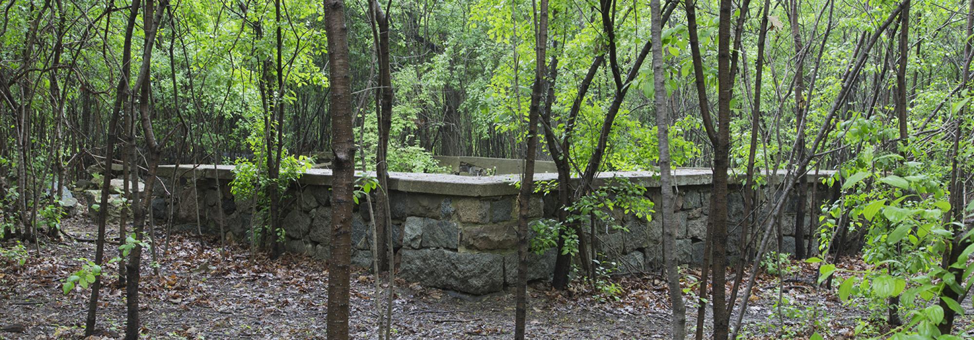 6 EDaniel_Asylum Patio.jpg 6 EDaniel_Asylum Patio.jpg