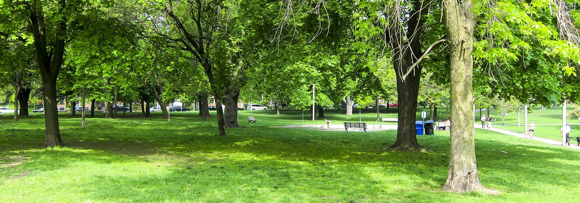 Riverdale Park, Toronto