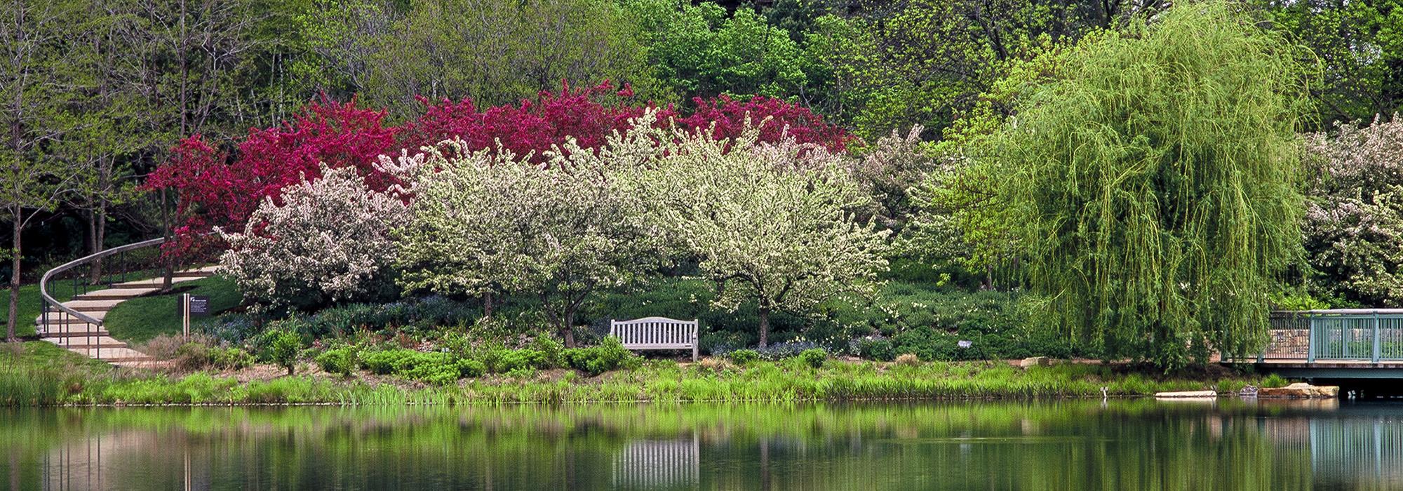 GreatBasinandEveningIsland-ChicagoBotanicGarden.jpg GreatBasinandEveningIsland-ChicagoBotanicGarden.jpg