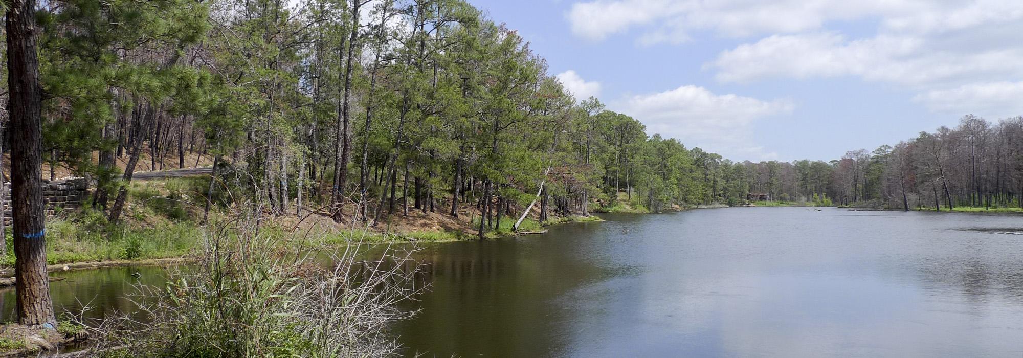 BastropStatePark.jpg BastropStatePark.jpg