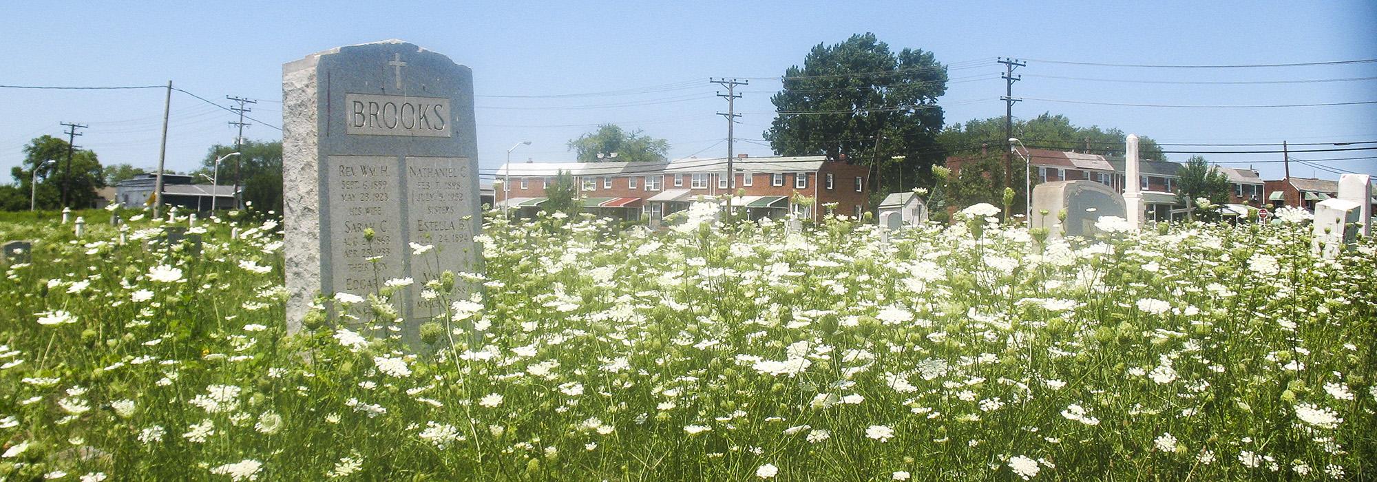 Mount Auburn Cemetery, Baltimore, MD
