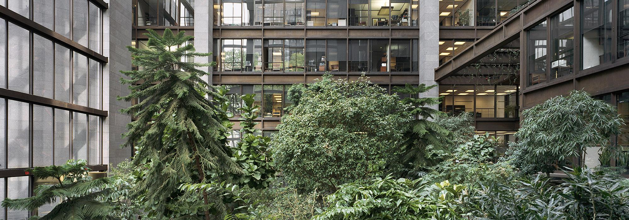FordFoundationAtrium.jpg FordFoundationAtrium.jpg