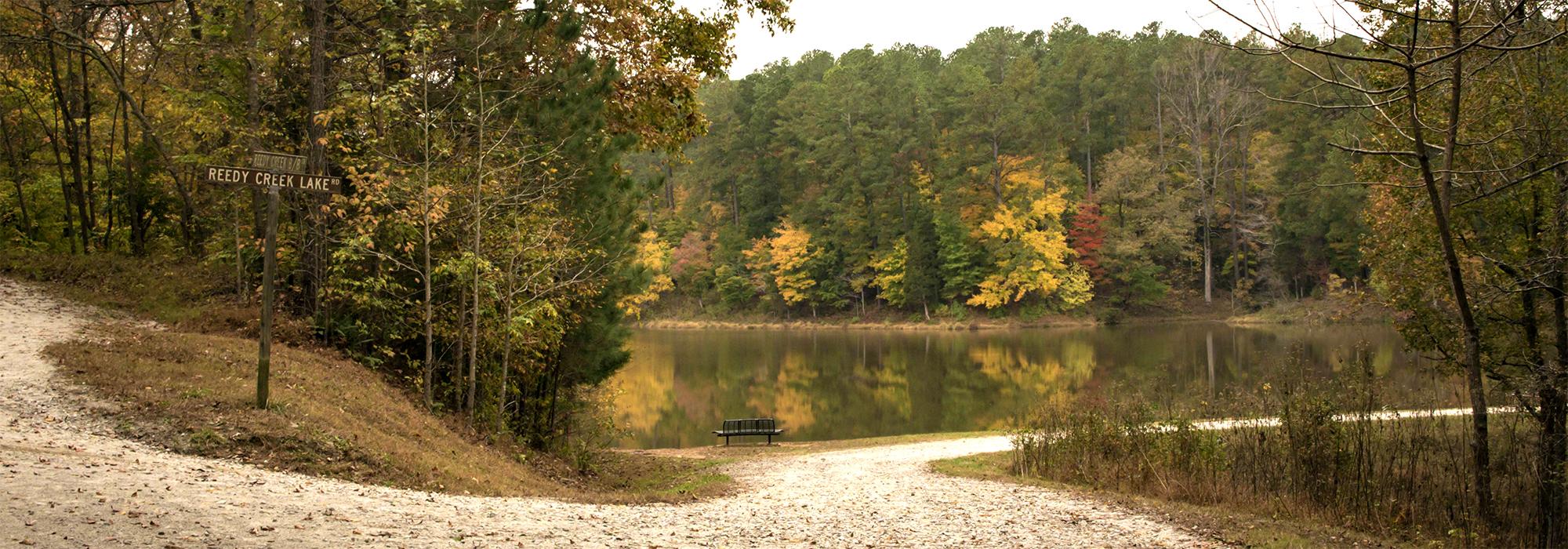 AndrewHarrell-UmsteadStatePark-2017-TCLF-15_HERO.jpg AndrewHarrell-UmsteadStatePark-2017-TCLF-15_HERO.jpg