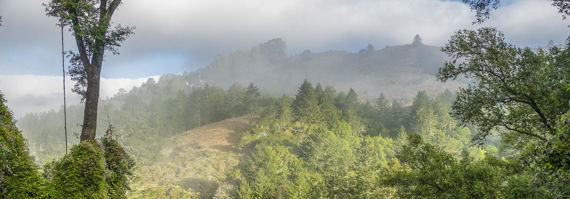 CA_MarinCounty_DruidHeights_AlanWattsLibrary_byTomFox_2018_00_hero.jpg CA_MarinCounty_DruidHeights_AlanWattsLibrary_byTomFox_2018_00_hero.jpg