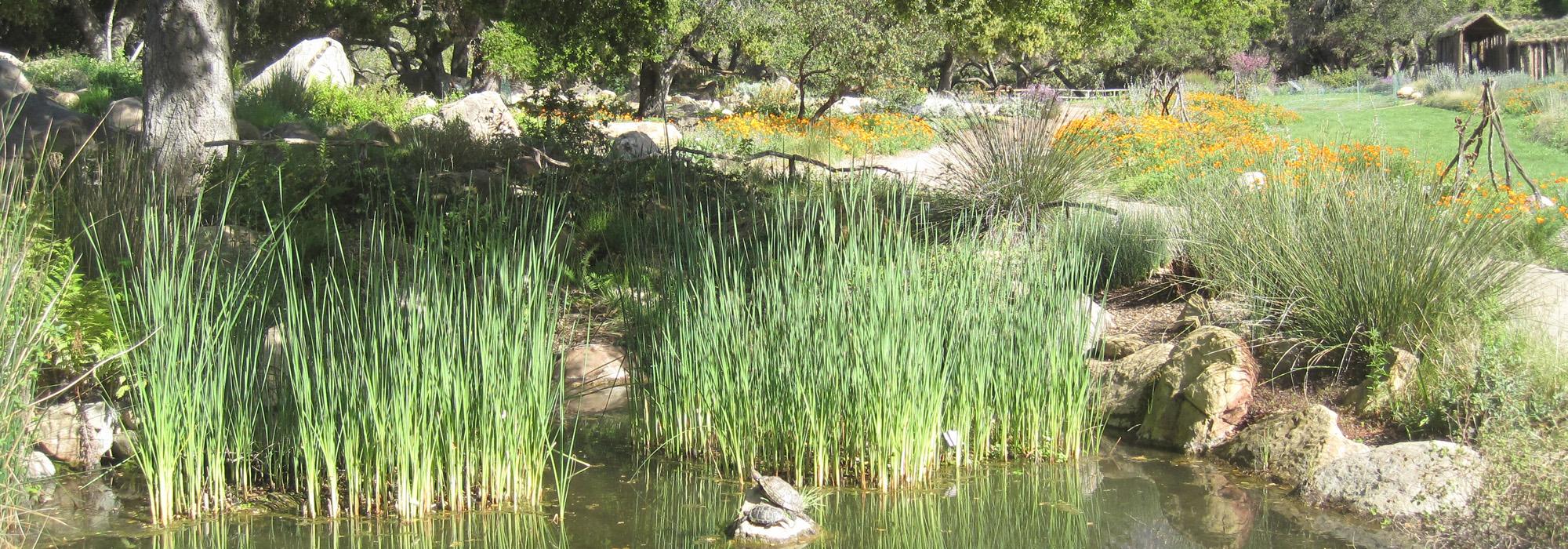 CA_SantaBarbara_BotanicGarden_hero_04_CharlesBirnbaum_2010.jpg CA_SantaBarbara_BotanicGarden_hero_04_CharlesBirnbaum_2010.jpg
