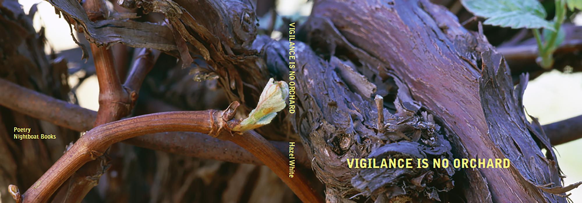 CA_SantaBarbara_HazelWhite_VigilanceIsNoOrchard_Hero.jpg CA_SantaBarbara_HazelWhite_VigilanceIsNoOrchard_Hero.jpg