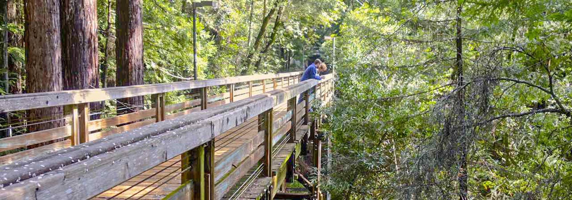 U C Santa Cruz May Develop Its East And West Meadows The Cultural Landscape Foundation U C Santa Cruz May Develop Its East And West Meadows The Cultural Landscape Foundation