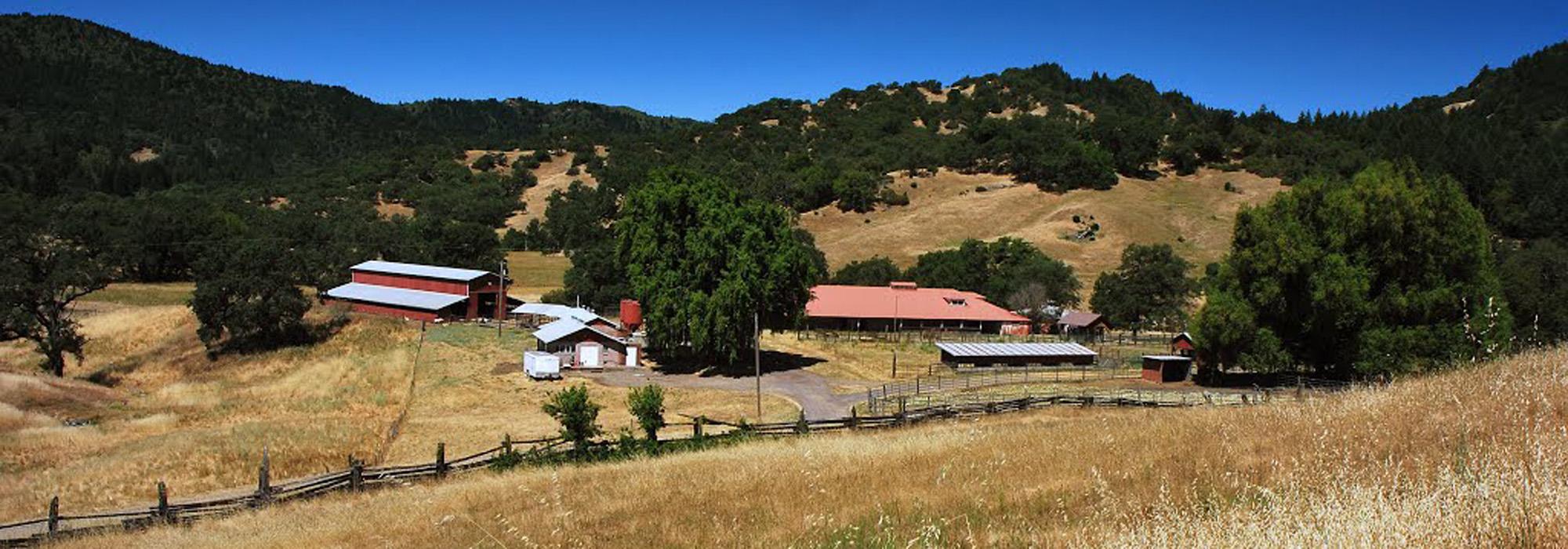 Ridgewood Ranch, Willitis, CA