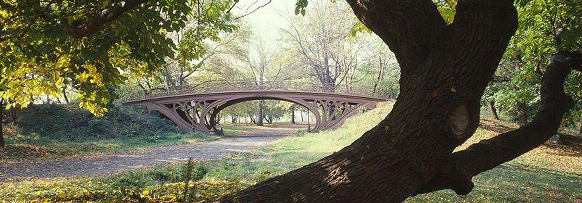 CentralPark_hero_CharlesBirnbaum_2009.jpg CentralPark_hero_CharlesBirnbaum_2009.jpg