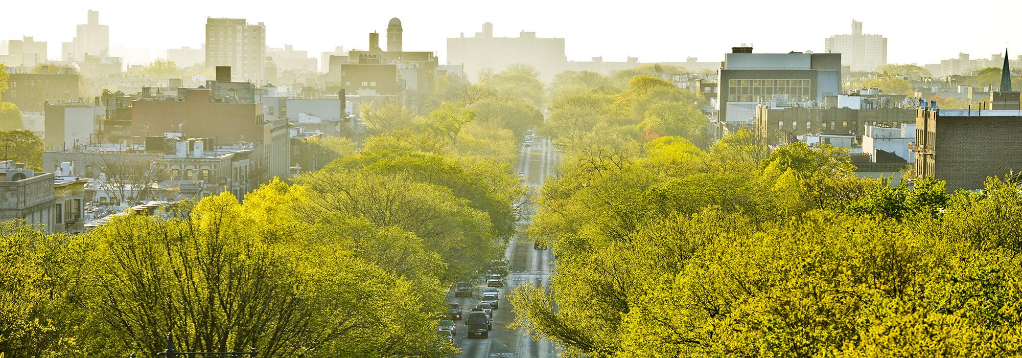 EasternParkway_hero1_CourtesyNYCParksRec.jpg EasternParkway_hero1_CourtesyNYCParksRec.jpg