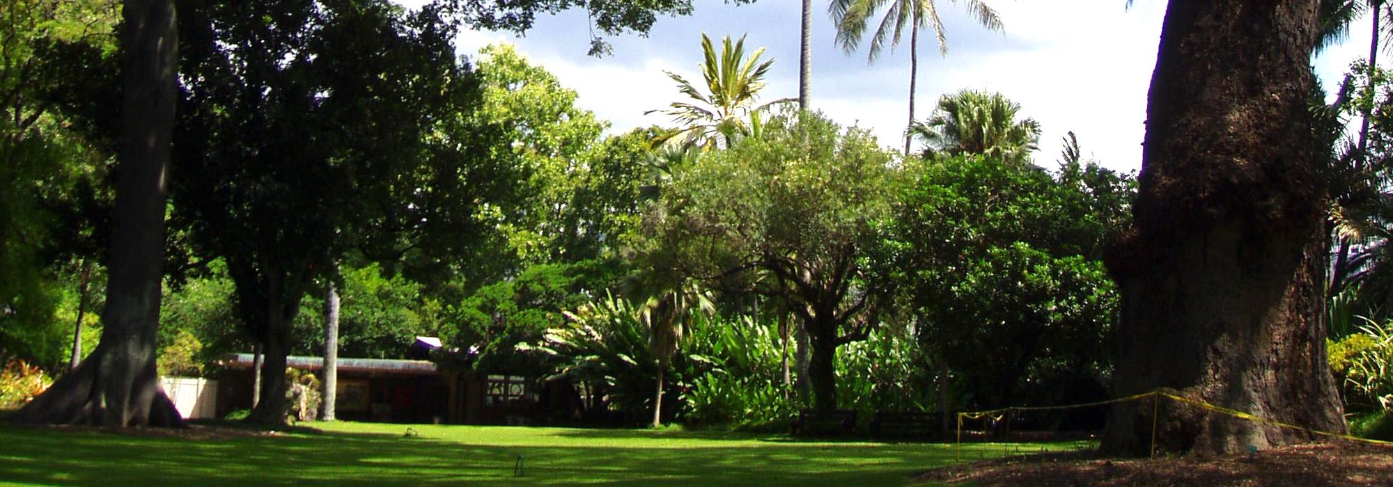 Foster Botanical Garden, Honolulu, HI