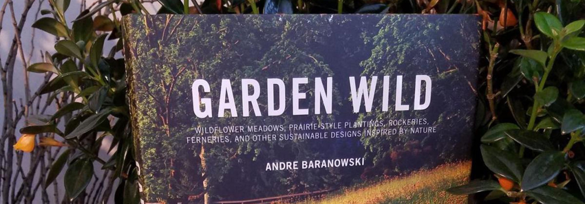 Garden Wild by Andre Baranowski