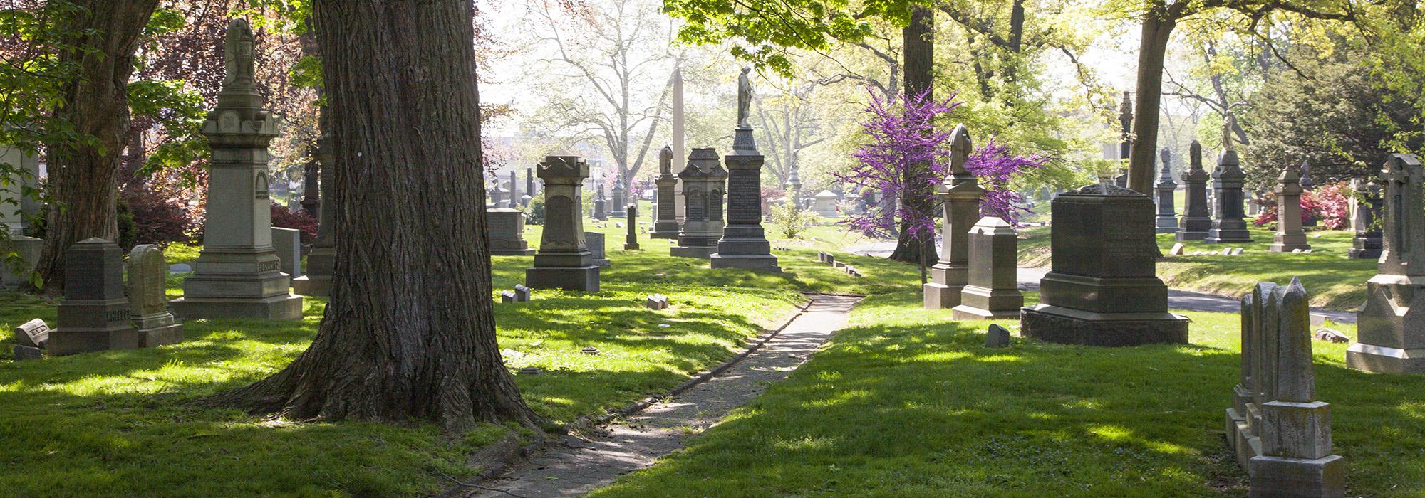 Green-WoodCemetery_hero_BarrettDoherty_2015.jpg Green-WoodCemetery_hero_BarrettDoherty_2015.jpg