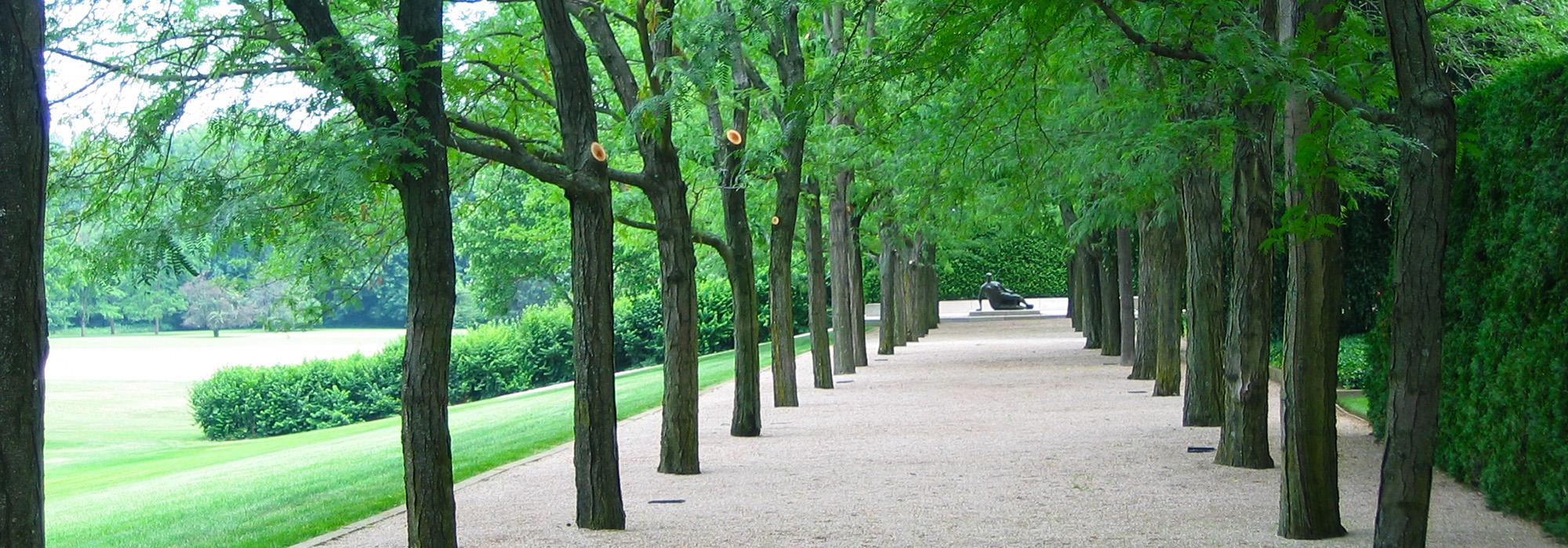 IN_Columbus_MillerGarden_35_CharlesBirnbaum_2005 (1)_Hero.jpg IN_Columbus_MillerGarden_35_CharlesBirnbaum_2005 (1)_Hero.jpg