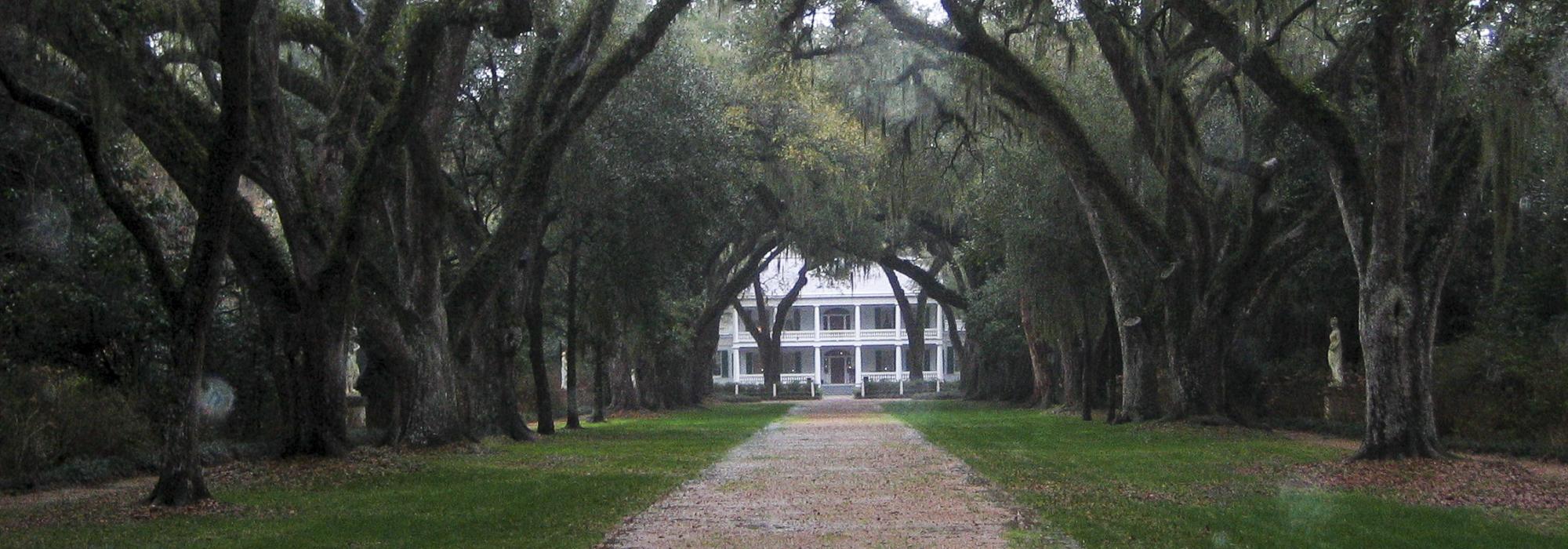 LA_StFrancisville_RosedownPlantation_08_CharlesBirnbaum_2005_HEROforSpyingOnTheSouth.jpg LA_StFrancisville_RosedownPlantation_08_CharlesBirnbaum_2005_HEROforSpyingOnTheSouth.jpg