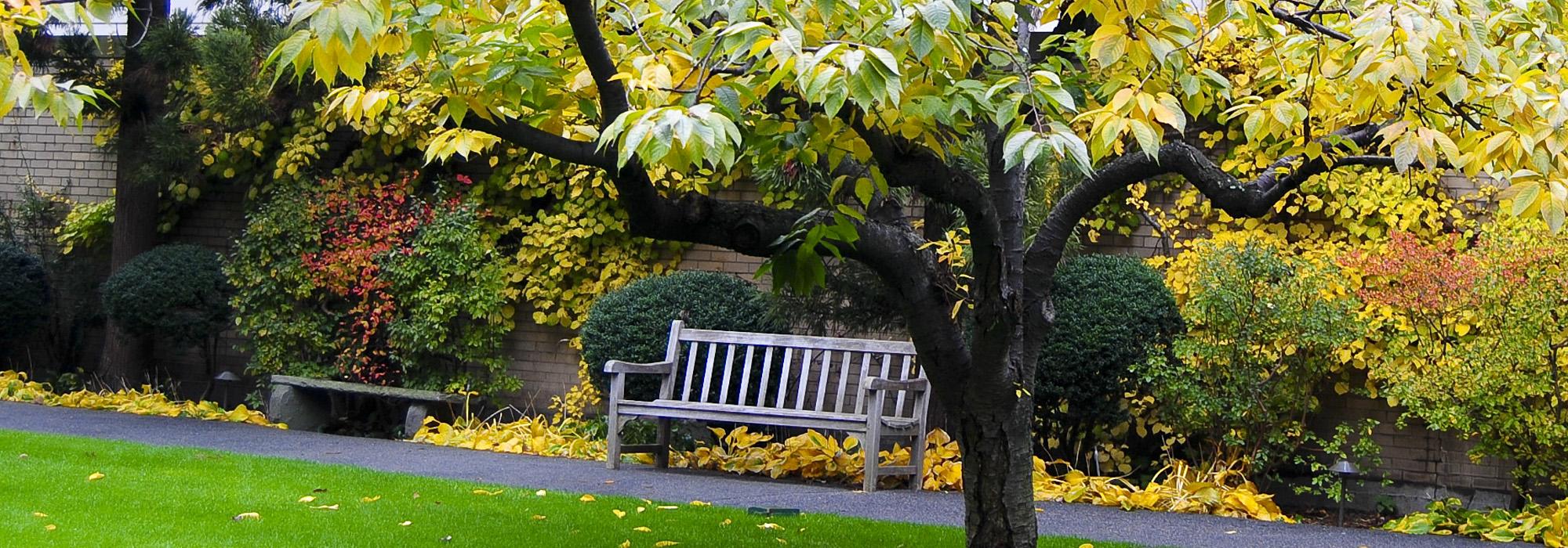 Replacement For Prouty Garden Opens In Boston The Cultural