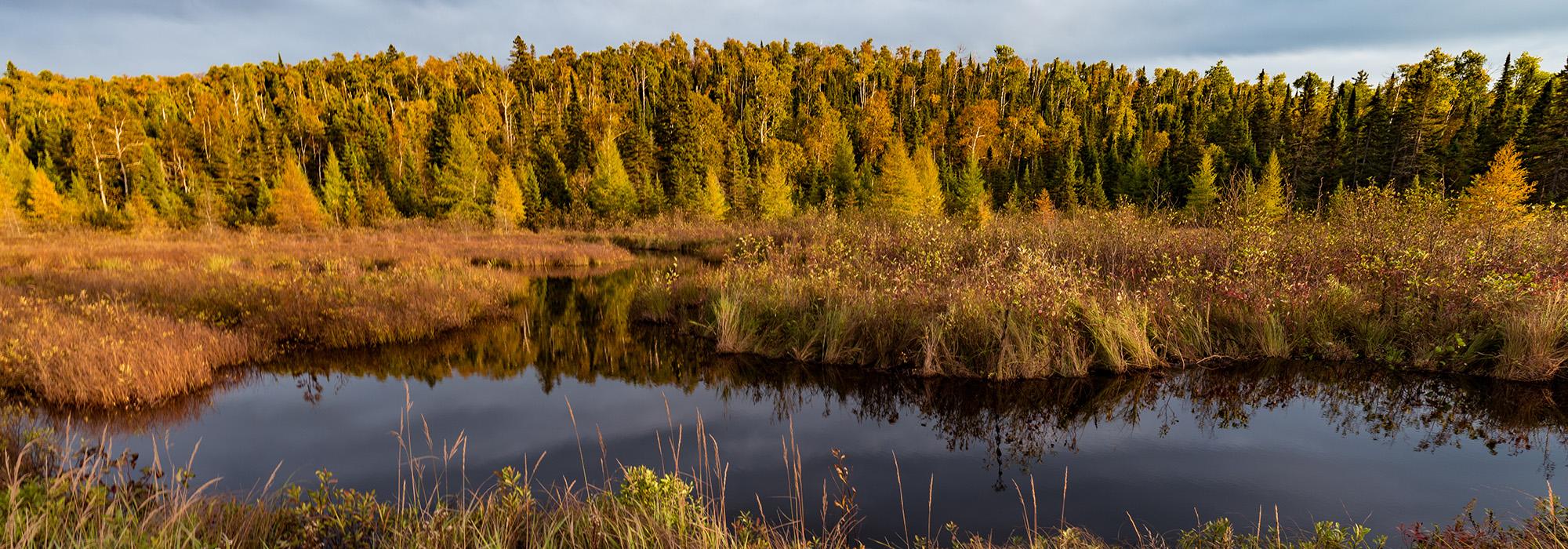 Minnesota_ManitouStatePark_TonyWebster_2017_01_hero.jpg Minnesota_ManitouStatePark_TonyWebster_2017_01_hero.jpg