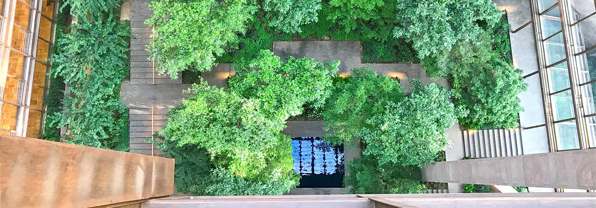 It S Always Summer At This Hidden Indoor Garden In A Midtown Office Building The Cultural Landscape Foundation