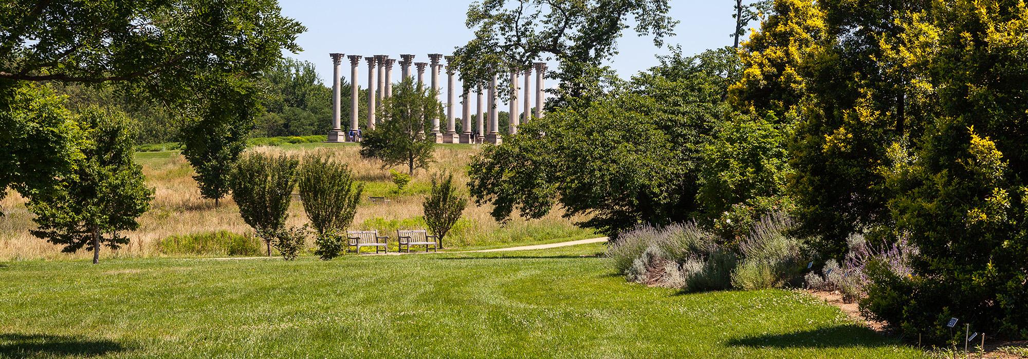 NationalArboretum_hero_Barrett Doherty_2016.jpg NationalArboretum_hero_Barrett Doherty_2016.jpg