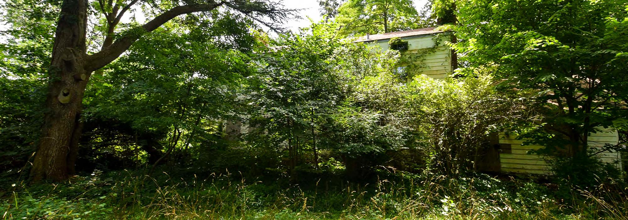 OlmstedBielHouse_hero_NewYorkLandmarksConservancy_2017.jpg OlmstedBielHouse_hero_NewYorkLandmarksConservancy_2017.jpg