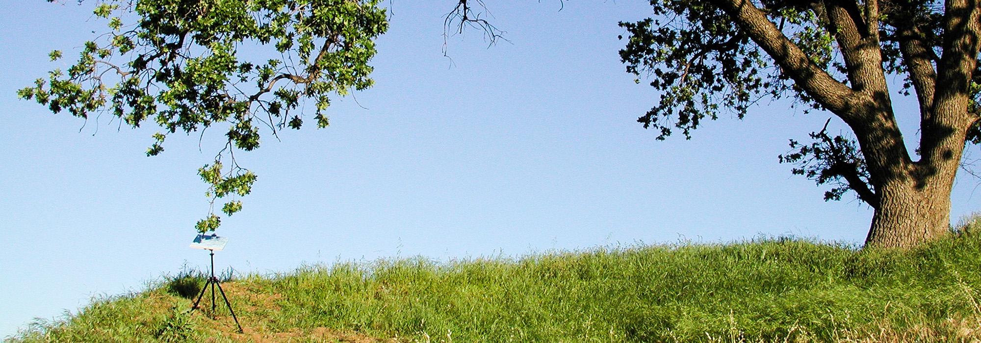 Pickett-Pat_hero_Valley Oak_Newhall Pass-CA_2003.jpg Pickett-Pat_hero_Valley Oak_Newhall Pass-CA_2003.jpg
