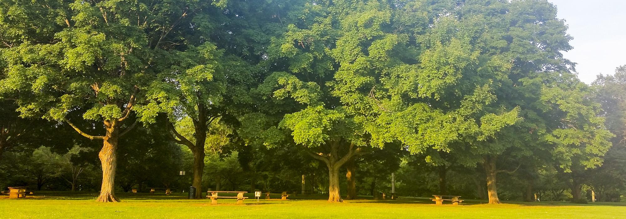 RahwayRiverPark_2015_CourtesyCoalitiontoSaveHRRP_01.jpg RahwayRiverPark_2015_CourtesyCoalitiontoSaveHRRP_01.jpg
