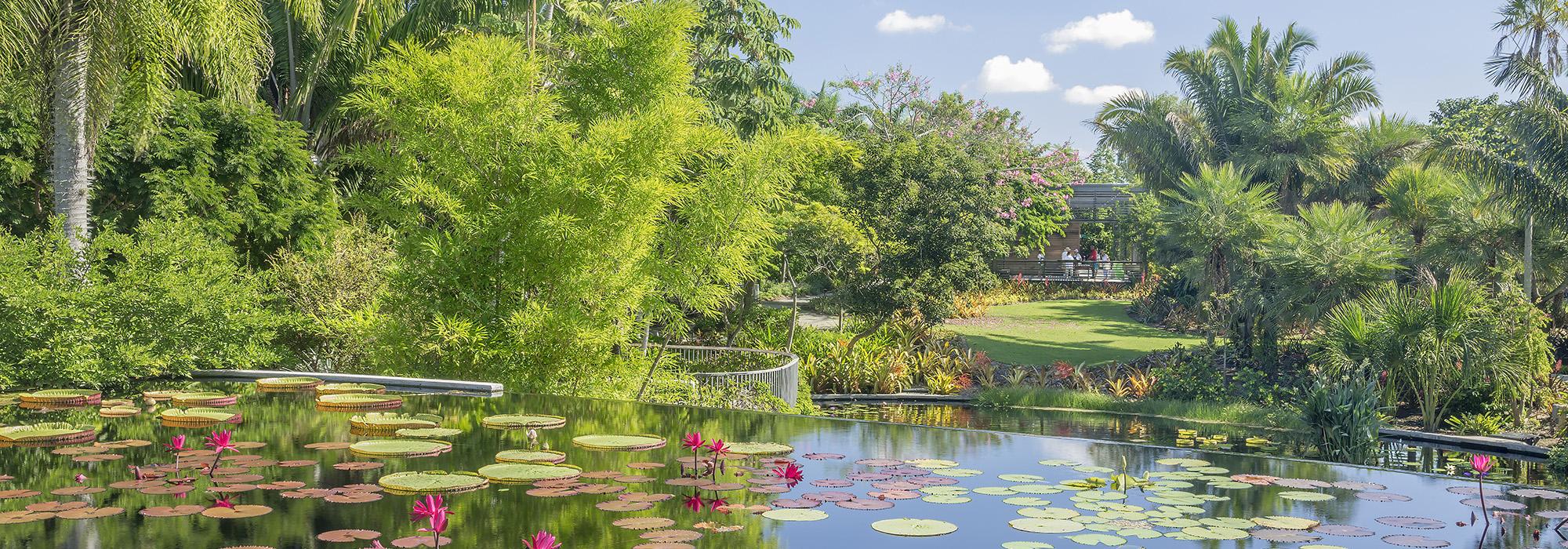 FL_Naples_BrazilianGarden_NaplesBotanicalGarden_©RogerFoleyPhotography_2015_Hero FL_Naples_BrazilianGarden_NaplesBotanicalGarden_©RogerFoleyPhotography_2015_Hero