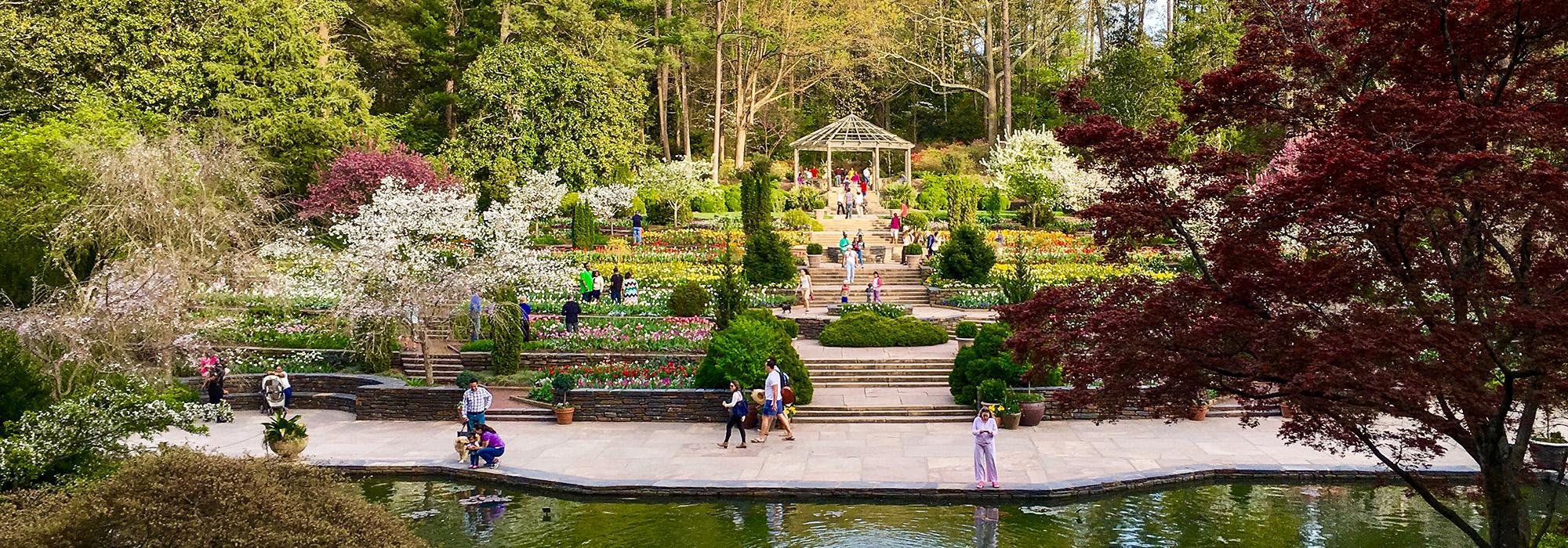 SarahPDukeGardens_MarkHough_hero.jpg SarahPDukeGardens_MarkHough_hero.jpg