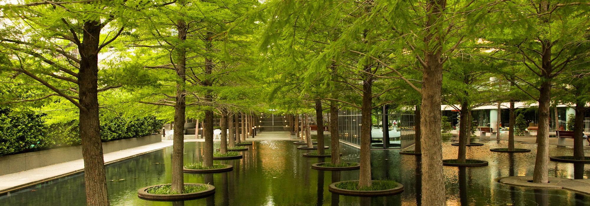 TX_Dallas_FountainPlace_ShapingThePostwarLandscape_Hero.jpg TX_Dallas_FountainPlace_ShapingThePostwarLandscape_Hero.jpg