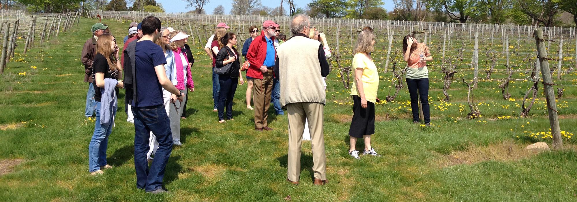 WOTW_Newport_GreenvaleVineyards_hero_NickAvery_2015.jpg WOTW_Newport_GreenvaleVineyards_hero_NickAvery_2015.jpg