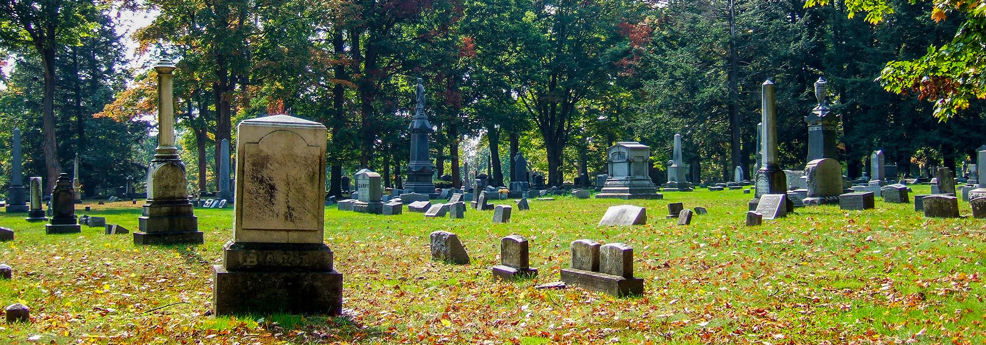 WoodlawnCemetery_hero_Jayu_2007.jpg WoodlawnCemetery_hero_Jayu_2007.jpg