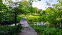 Stone path across a pond