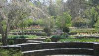 Sarah P. Duke Gardens | The Cultural Landscape Foundation