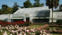 Bellingrath Gardens, Theodore, AL